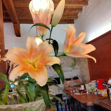 Due Colonne 호텔 산보니파시오