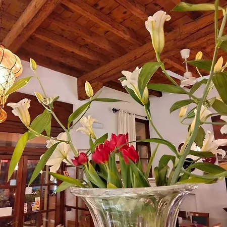 호텔 Due Colonne 산보니파시오