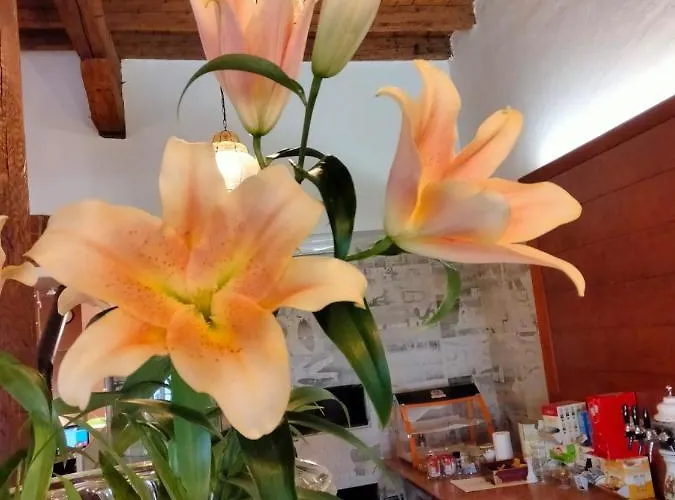 Due Colonne Hotel San Bonifacio