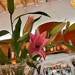 Due Colonne Hotel